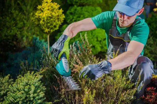 landscaping services Boston